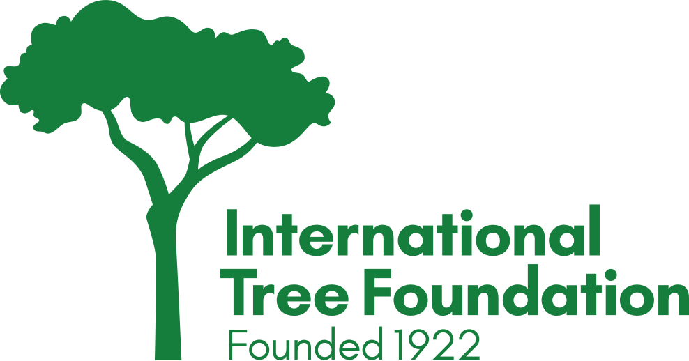 Plant a Tree!