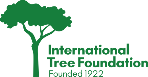 Plant a Tree!