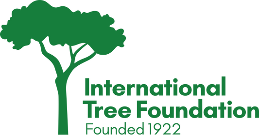 Plant a Tree!